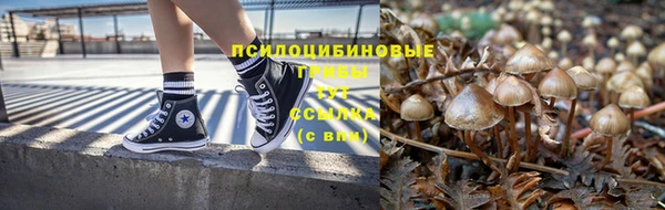 соль ск Сатка