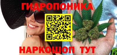 СК Конаково