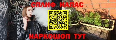 СК Конаково