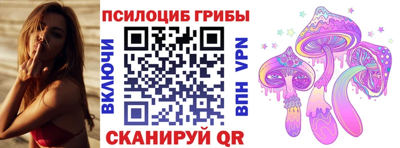 Псилоцибиновые грибы MAGIC MUSHROOMS  мега tor  Янаул 