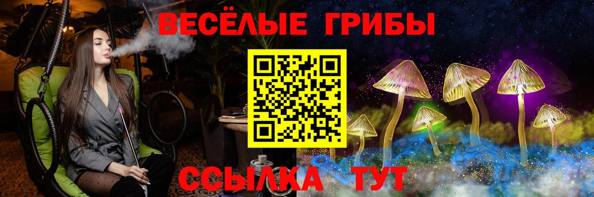 Галлюциногенные грибы Psilocybine cubensis  Вход с VPN  Янаул 